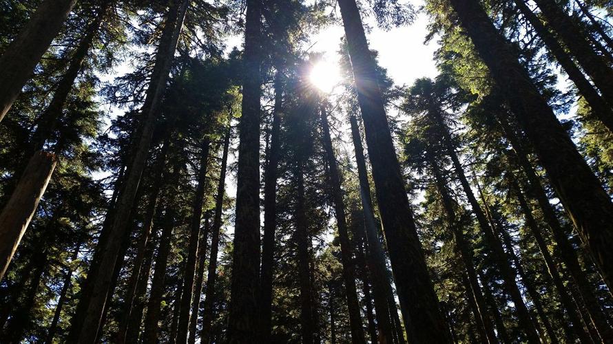 GORGE EXPLORER: Chinidere Mountain offers unmatched views