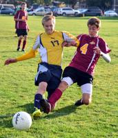 Hawks swoop up district title