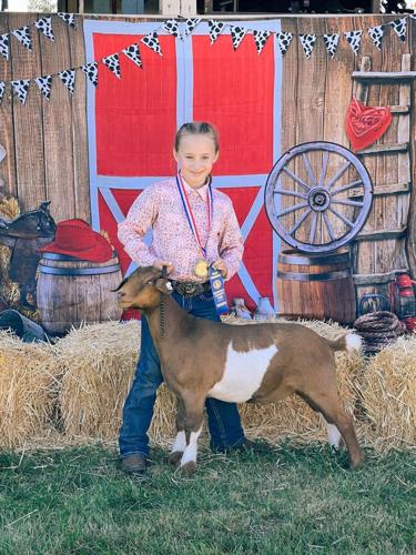 Klickitat Co. Fair