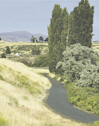 Riverfront Trail Notes #31-3.tif