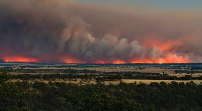 Grasshopper Fire