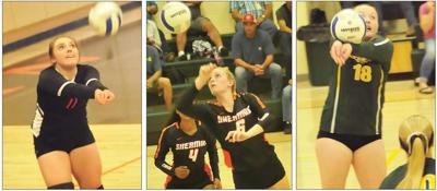 SWC Volleyball
