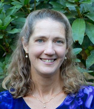 Ed Foundation appoints director