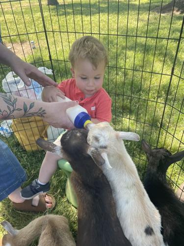 ODHS hosts appreciation barbecue for resource families | Free News |  columbiagorgenews.com