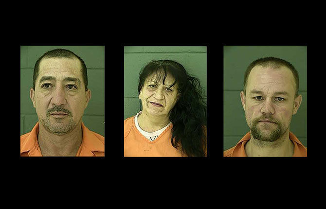 MINT starts year with arrests