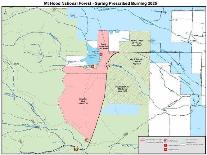 Rocky Restoration Project area