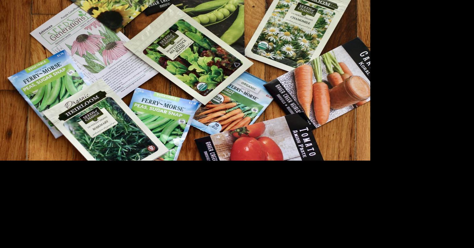 Making Sense of Seed Selection | Free News | columbiagorgenews.com