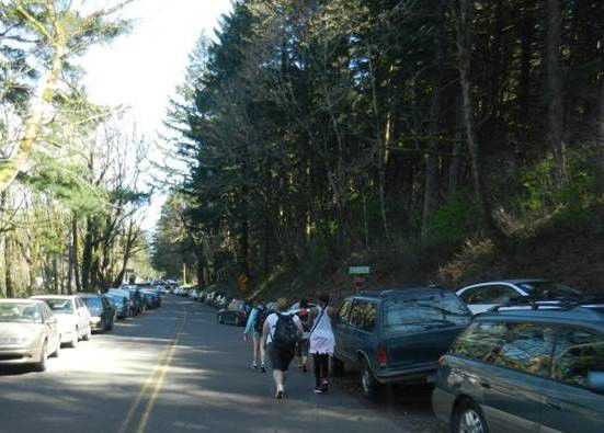 Columbia River Historic Highway trail work underway