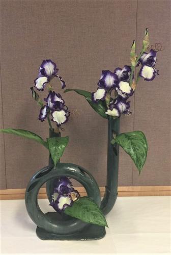 B2 maija yasui, Iris.jpg