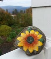 Parkhurst painted rocks spread joy via art