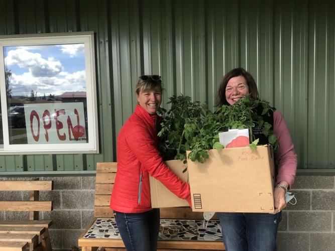 FISH tomato start fundraiser