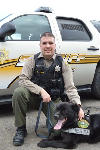 Drug dog goes from Shelter to Sheriff