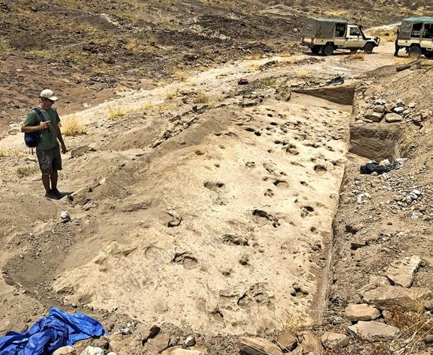Footprints reveal ancient human relative travelled in groups 1.4 million years ago
