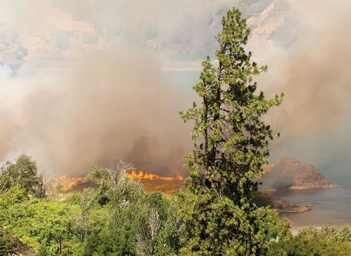 Wildfire smoke