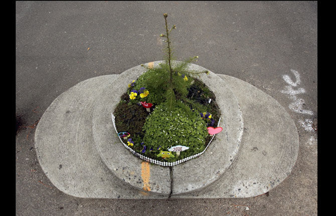 Britain, Portland draw battle lines over tiny parks