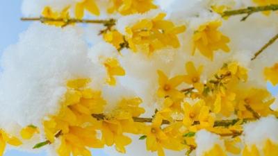 Coldest Aprils in Oregon since 1895