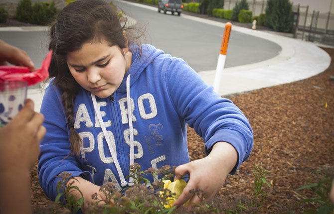 Nurture beneficial insects with pollinator-friendly landscape
