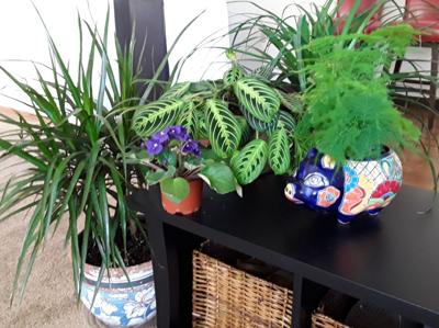 Master Gardeners.jpg