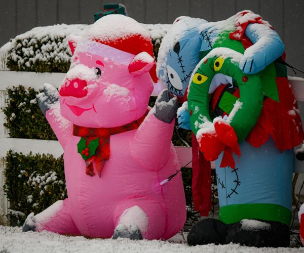 2024-12-12 snow 004-2.jpg