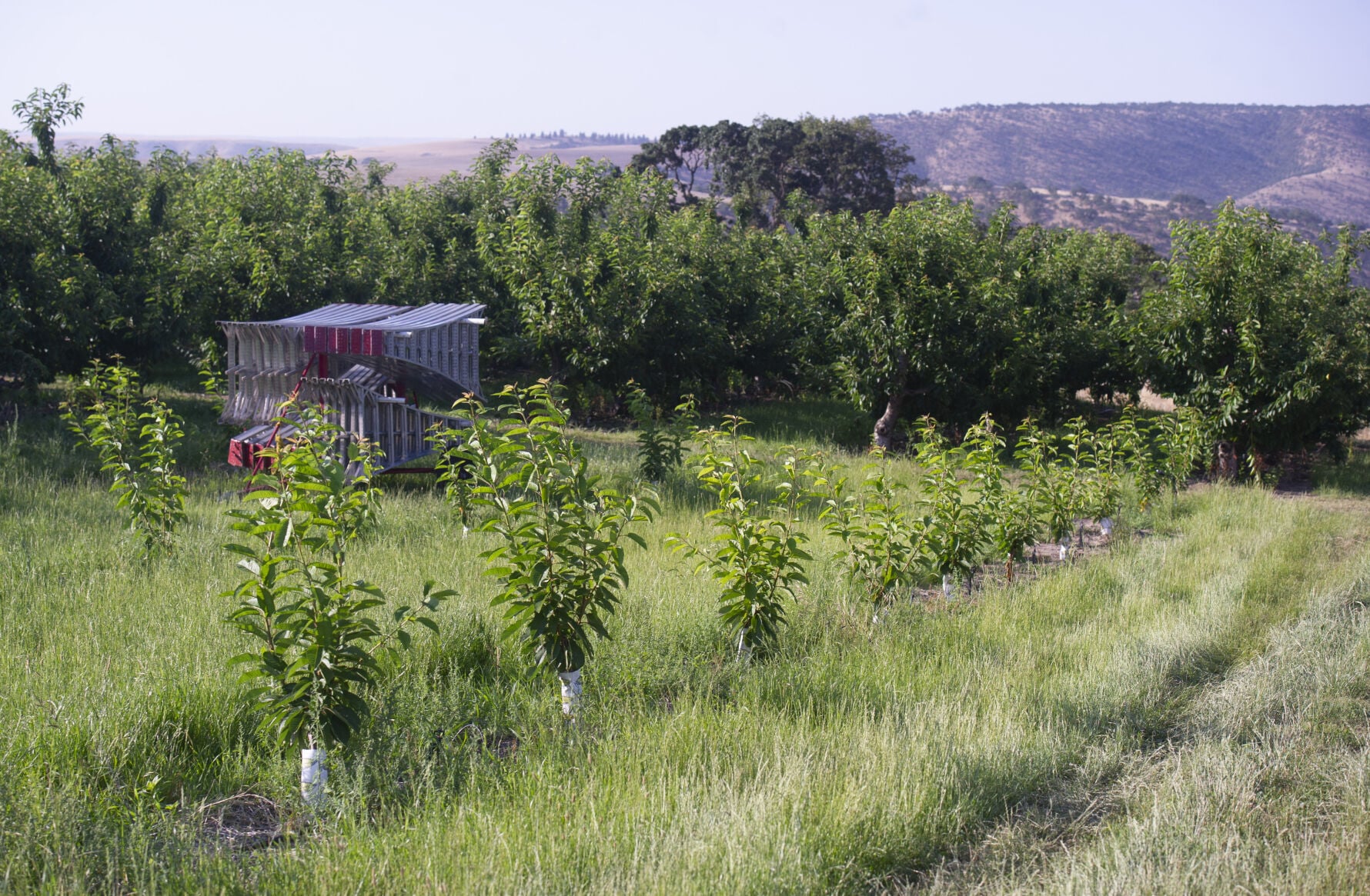heater_myerson_orchards_12.jpg