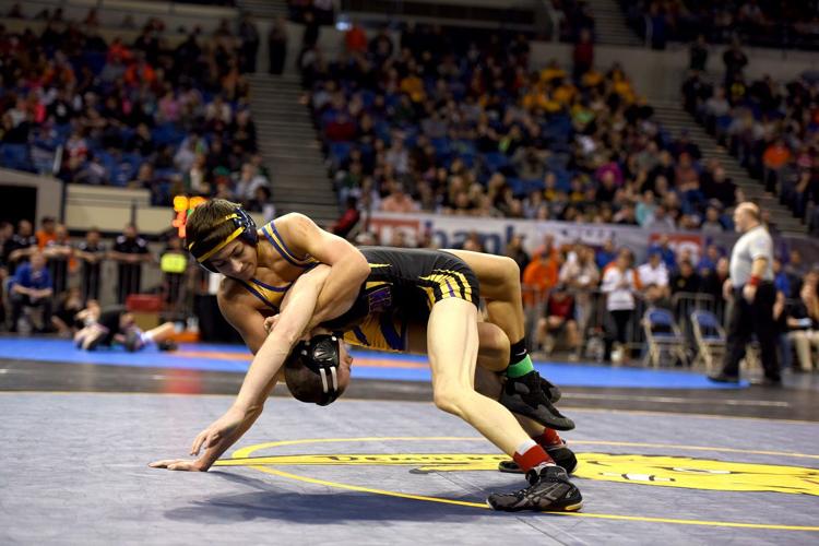 HRV wrestlers find the podium at state champs