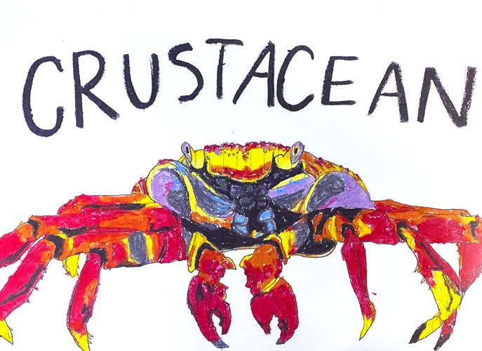 09-28 GORGE Otolith Crustacean.jpg