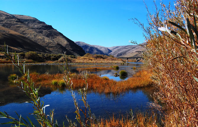 Skip's Trailhead: Cottonwood Canyon