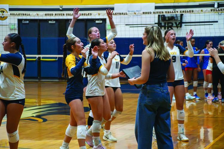 HRV volleyball