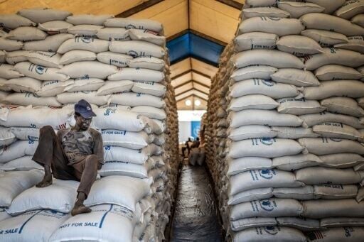 Food aid deliveries in Jonglei state have been halted due to the conflict