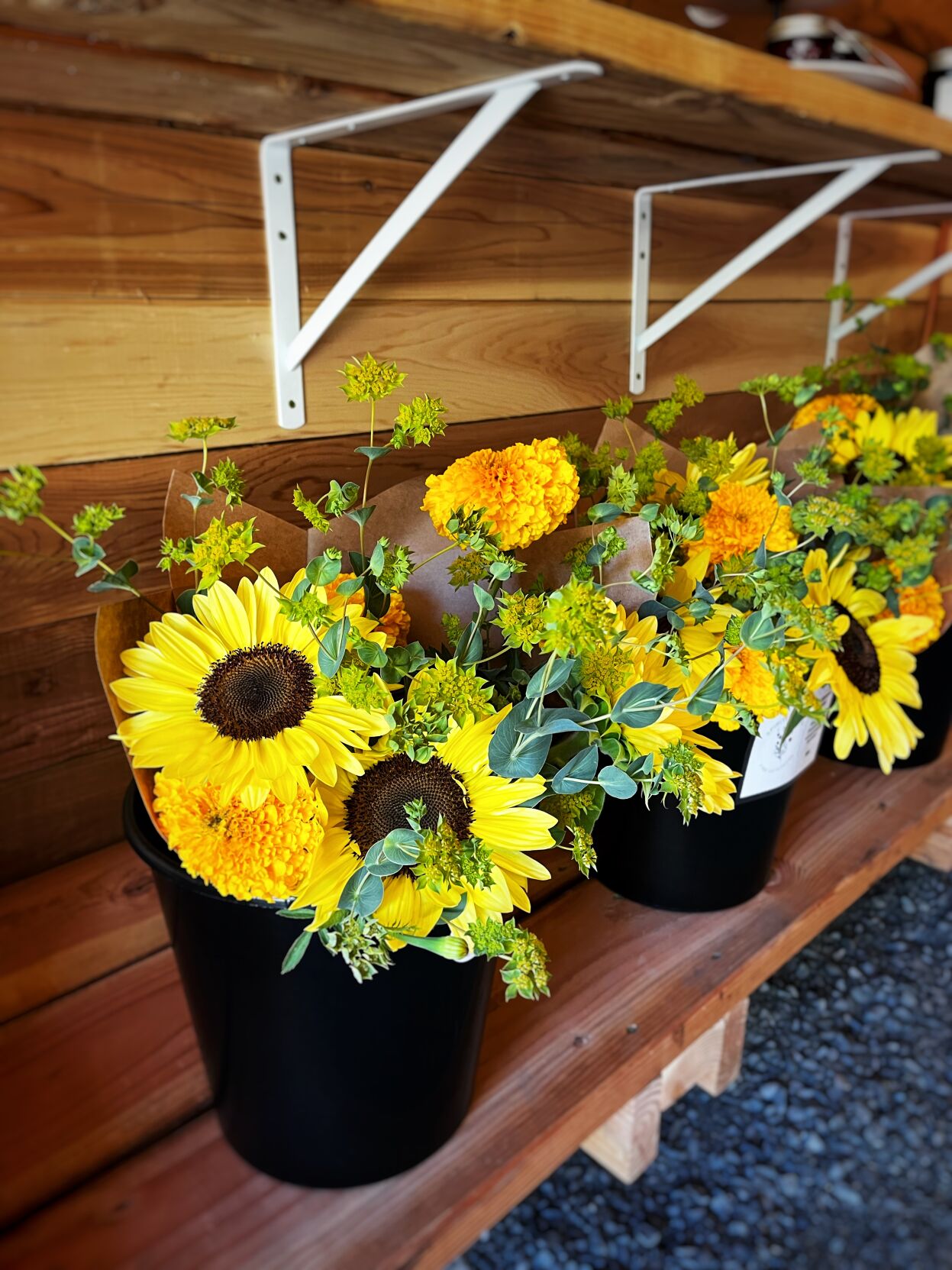 Spirited roots 9.jpeg