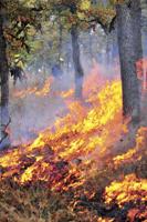 Warm, dry spring means increased fire danger early