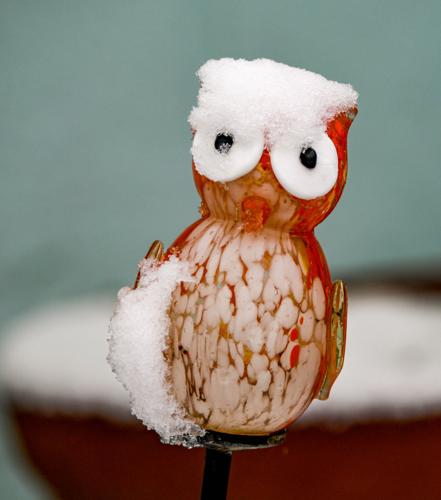 2024-12-12 snow 009-2.jpg