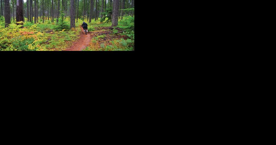 Oregon fire season comes to an end - Vimarsana News