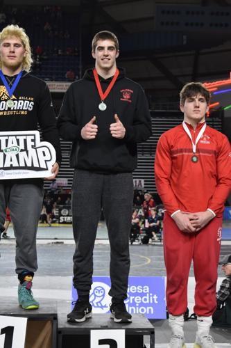 Sawyer by Dave Blevins.jpg