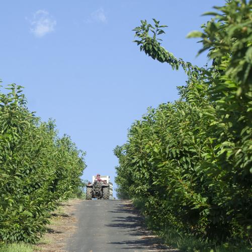 heater_myerson_orchards_10.jpg
