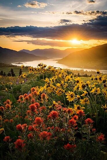 Brian Chambers, “The Golden Hour”