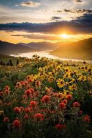 CCA presents July show: ‘Mother River’