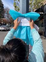 Helping Hands Against Violence shines light on sexual assault in April