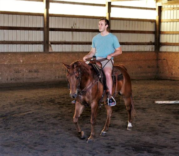 A7 Horse photo 1.jpg