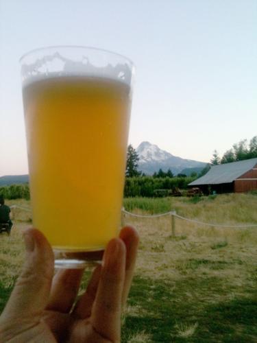 The Ale List: Solera celebrates with a sour, Double Mountain expands refillable program