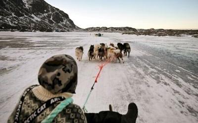 On thinning ice: musher Nukaaraq Lennert Olsen rides with his sled dogs near Sisimiut in western Greenland