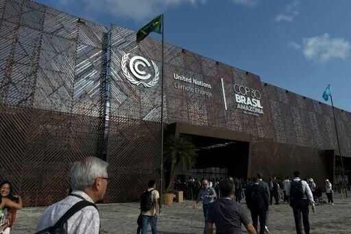 CIEL classified a total of 531 attendees at the UN talks in Belem, Brazil, as "lobbyists" for firms or groups that promote carbon capture and storage (CCS)
