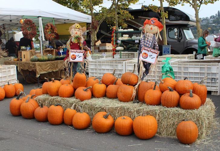 B1 Harvest Fest KAL (2).jpg