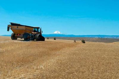 Wasco County wheat harvest