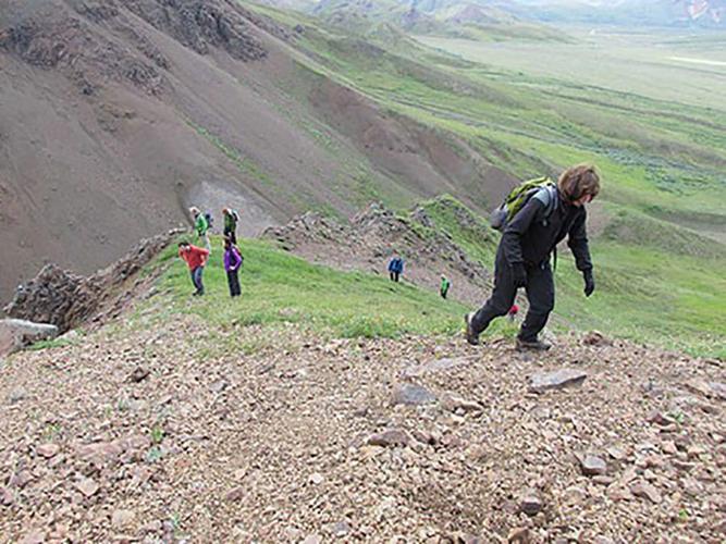 What does wilderness Sound Like?