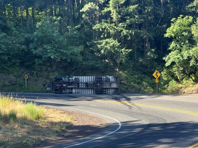 Overtruned truck1.jpeg