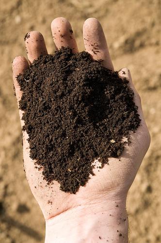 Extension Cord: Not all soils are created equal