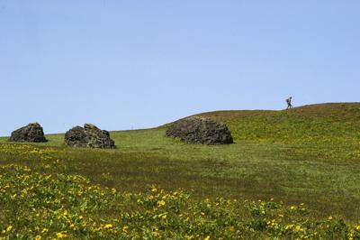 Columbia Gorge Land Trust