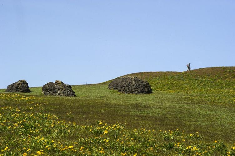 Columbia Gorge Land Trust
