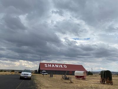 Shaniko Days